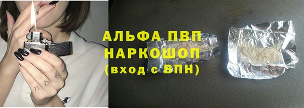 стаф Нея