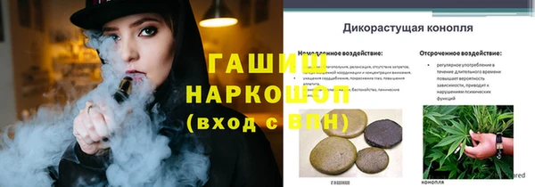 стаф Нея