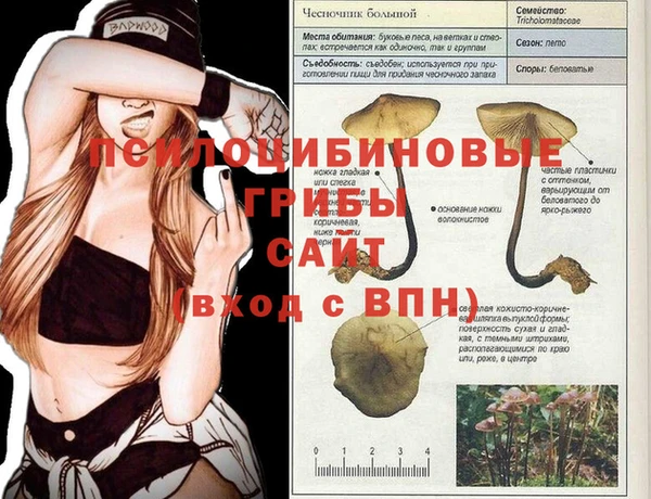 стаф Нефтекумск