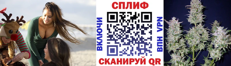где купить наркотик  Ильский  Каннабис SATIVA & INDICA 